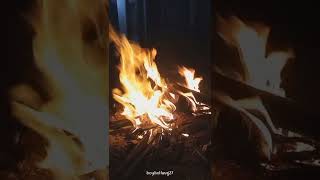 Download lagu Fenomena story tiada yang lain mp3 Download lagu Fenomena story tiada yang lain mp3