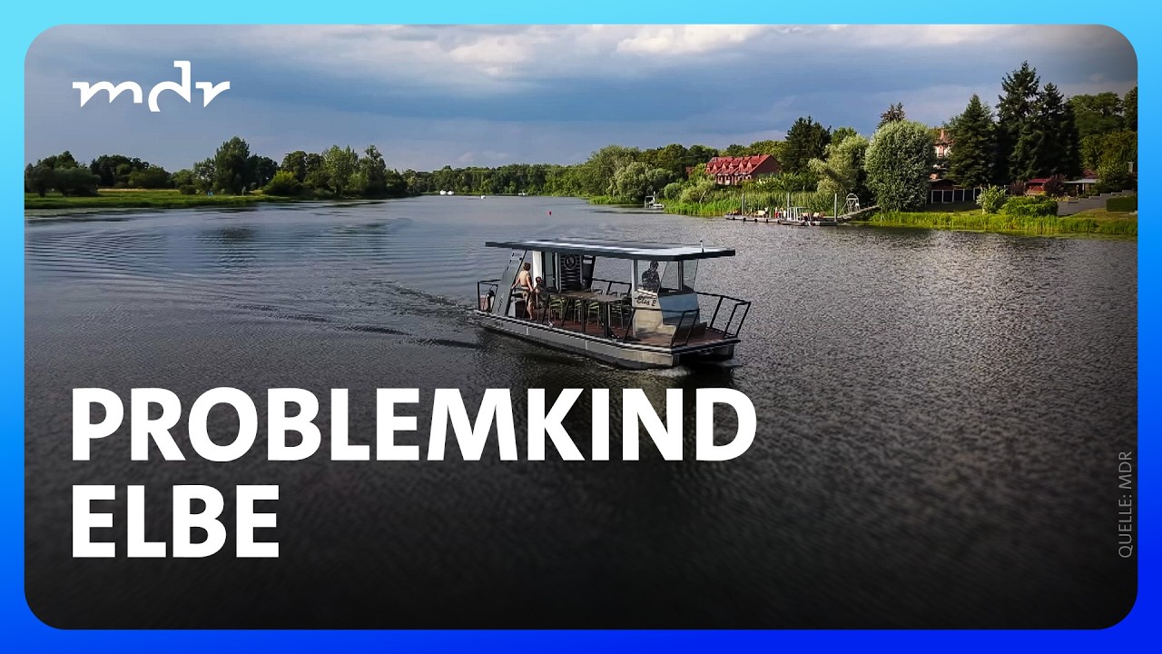 Niedrigwasser-Alarm an der Elbe: Ostdeutsche Werften erfinden sich neu | Umschau | MDR