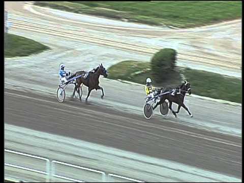 Trotto 17/04/2016 - prova di qualifica