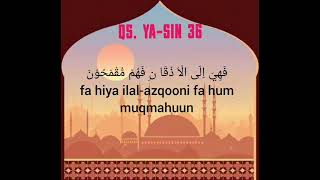 Download lagu Surat Yasin ayat 1-10 5x merdu, latin Indonesia, hapalan mudah dan dijamin cepat hapal Yaseen mp3