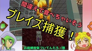 【モンスターと暮らす】マイクラ第３話ブレイズ編