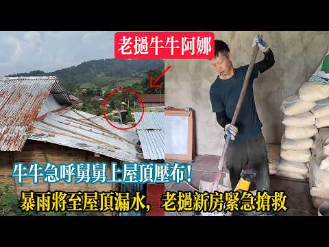Niuniu Urgently Calls Uncle to Secure the Roof! Heavy Rain Imminent and the Roof is Leaking, Emer...