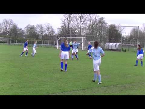 Samenvatting Hermes DVS MB1 -  Botlek MB1