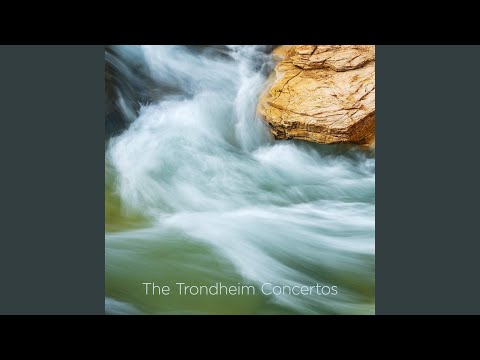 Violin Concerto in G Major, Op. 1 No. 9, XM 141: IV. Allegro