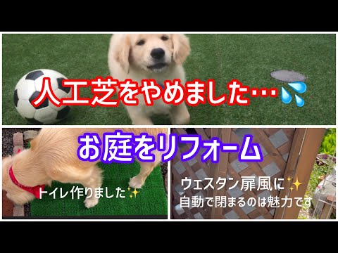 これであなたの庭が犬の楽園に変わります トピックス