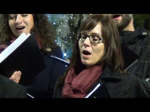 Voci Allegre - Tri české koledy (Adam Michna z Otradovíc)