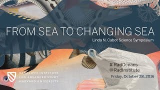 From Sea to Changing Sea | Marine Life || Radcliffe Institute
