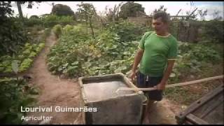 Colher água, plantar vida