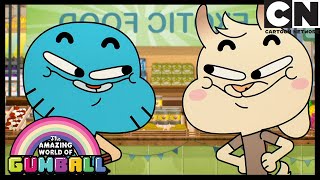 Imitation Is The Sincerest Form Of Flattery | The Copycats | Gumball | Cartoon Network