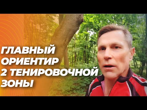 Главный ориентир 2 тренировочной зоны - не пульс ! Как правильно определить. Главный ориентир 2 тренировочной зоны - не пульс ! Как правильно определить.