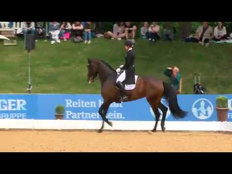 Pferd International 2017