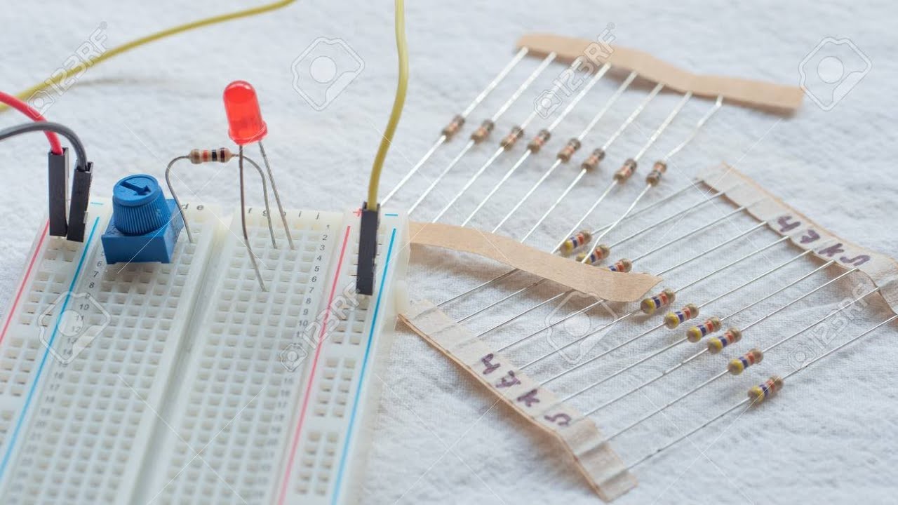 Which coast has the widest continental shelf in India? Tipseri