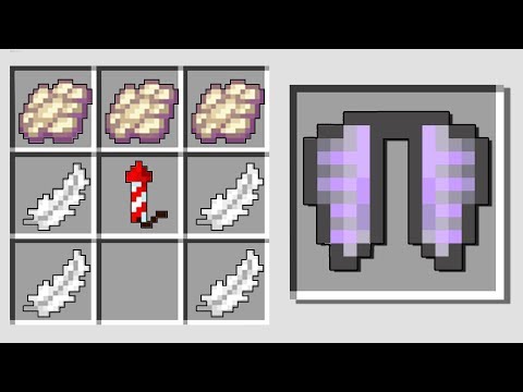 HO TROVATO L'ELYTRA NEL MIO MONDO - MINECRAFT ITA