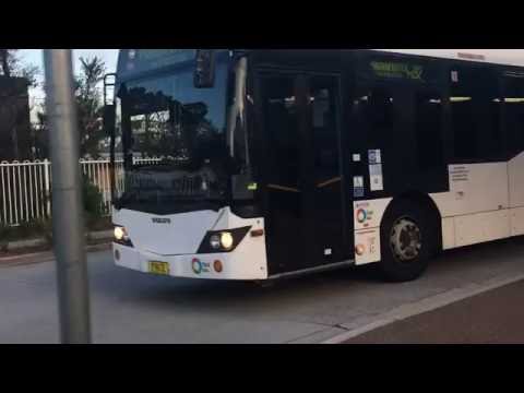 Sydney Transport Watch Vlog 8: Sutherland Bus Interchange