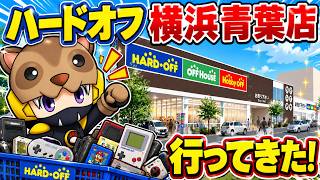 【ハードオフ巡り】横浜で大好きな店舗！ハードオフ横浜青葉店でレトロゲーム＆ジャンク探し！あんまん車の床で遊びたい