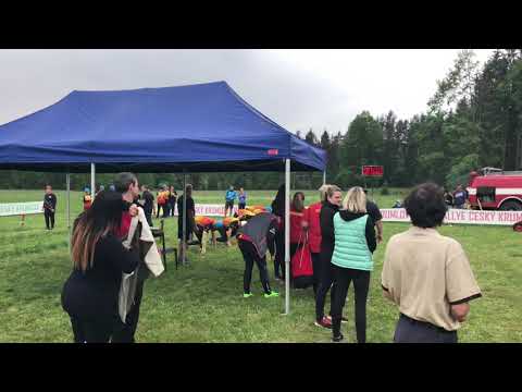 Netřebice B okrsek 2018