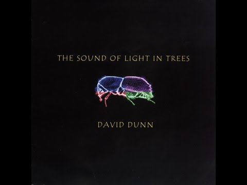 David Dunn – The Sound Of Light In Trees (2006)