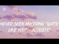 The Script - Never Seen Anything "Quite Like You" - Acoustic (lyric video)