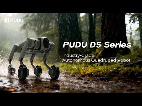PUDU D5 Review Video 1