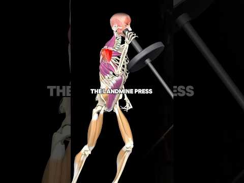 This Landmine Press Tutorial Is GOLD!
