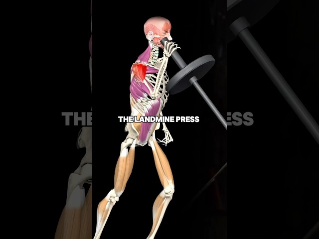 Landmine Press video thumbnail