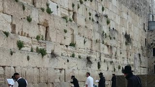 שחרית יום שלישי י"ג בניסן בשידור חי מהכותל המערבי