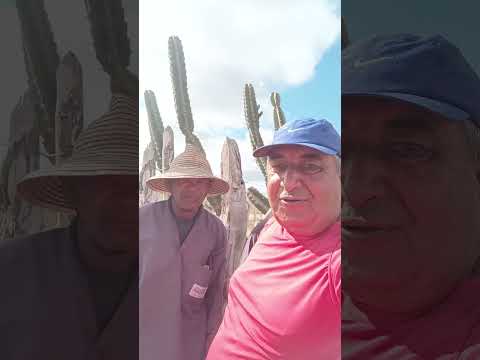 26 de julho de 2026