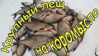 Рыбалка зимой на коромысло леща