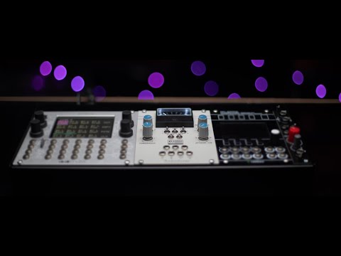 AudioScape's EuroBuss Sonic Exploration
