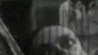 Mike Patton Zu - Orc (Official Video)