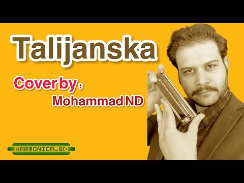 Talijanska song / Harmonica Cover by ND