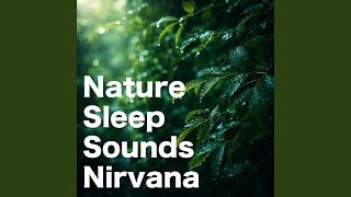 熟睡ギターBGM 睡眠の質を高めるヒーリング音楽...