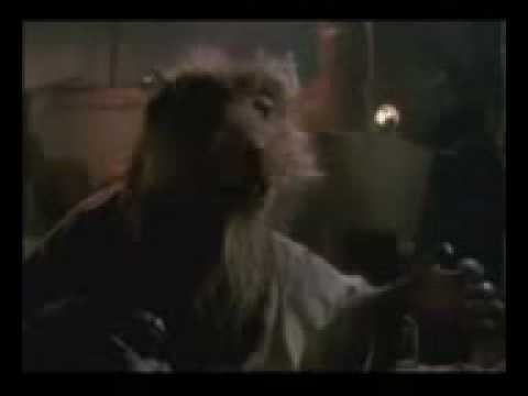 las tortugas ninja albureras