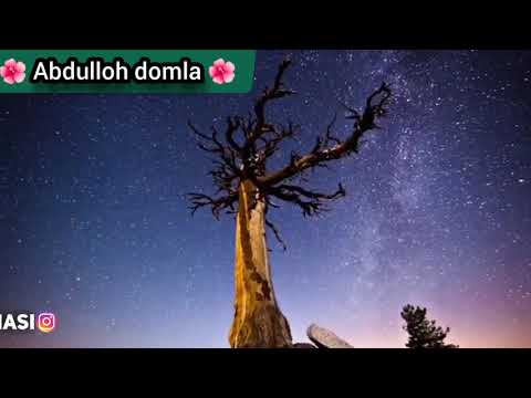 Darslik: Taqvo va fujur haqida Abdulloh domla 🌺