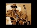 Ry Cooder - John Lee Hooker For President