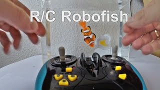 R/C Robofish Schwimmtest im Wasserbecken, was dabei ist