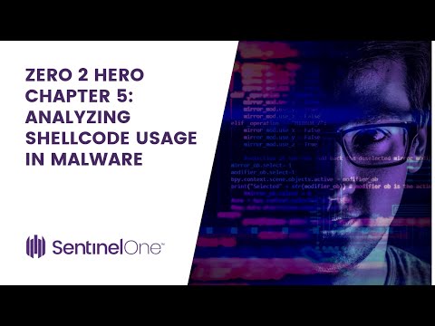 From Zero to Hero, Chapter 5: Analyzing Shellcode Usage in Malware