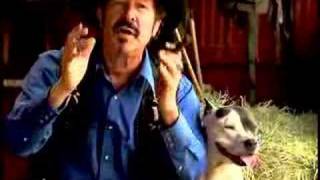 Cowboy Way (Kinky Friedman for Governor)