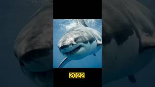 Download lagu Akulalar oldin🤔 #dwoz #senator #africa #cho'l #okean#levinho #zoopark #sigmarule #sigma #akula mp3 Download lagu Akulalar oldin🤔 #dwoz #senator #africa #cho'l #okean#levinho #zoopark #sigmarule #sigma #akula mp3