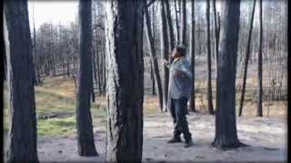 Get that Money- PT and Big Loony