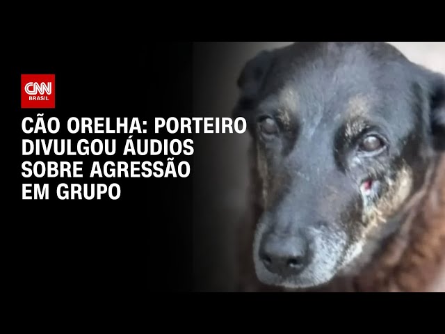 Porteiro divulgou áudios sobre agressão contra cão Orelha em grupo de vigilantes | CNN NOVO DIA
