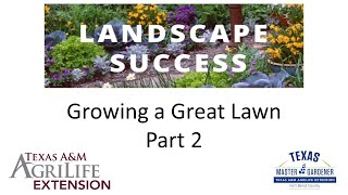 Growing a Great Lawn - Part 2 (4.5.2024)