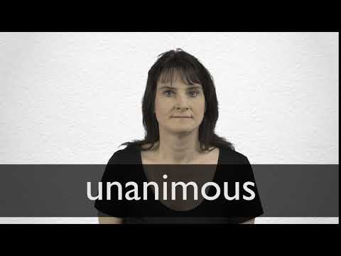 Hindi Translation of “unanimous” | Collins English-Hindi Dictionary Hindi Translation of “unanimous” | Collins English-Hindi Dictionary