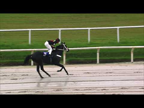 210410 c07 OSOJA (BRZ)