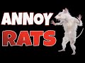 Sounds To Annoy Mice GUARANTEED