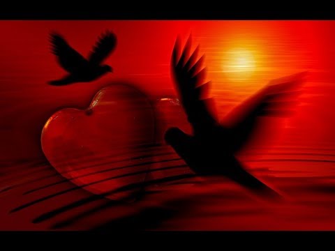 10 REGOLE PER APPREZZARE LA BELLEZZA (di p.ERMES RONCHI)