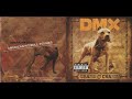 DMX featuring Cam'Ron - We Go Hard (Lyrics)
