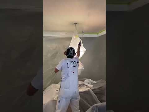 Frog clan painting group video.