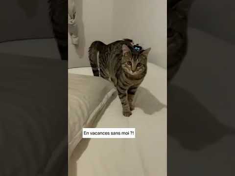 IL VA NOUS FAIRE LA FÊTE ! 😱😅