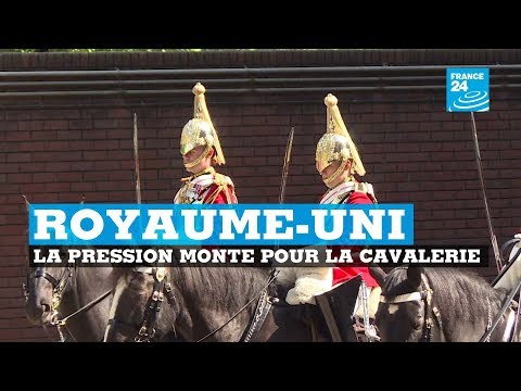 La pression monte pour la cavalerie au Royaume-Uni